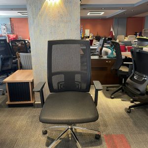 Polen Siyah Fileli Çalışma Koltuğu